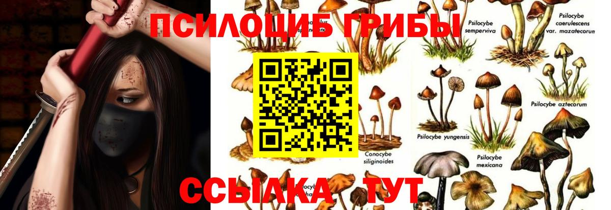 Галлюциногенные грибы Cubensis  Вход с VPN  магазин    Шатура 